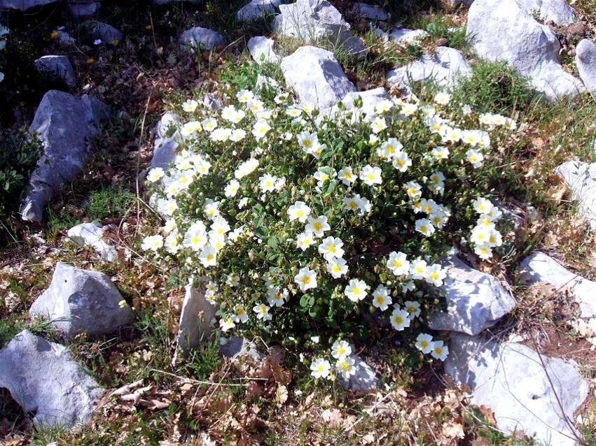 I colori del Gargano